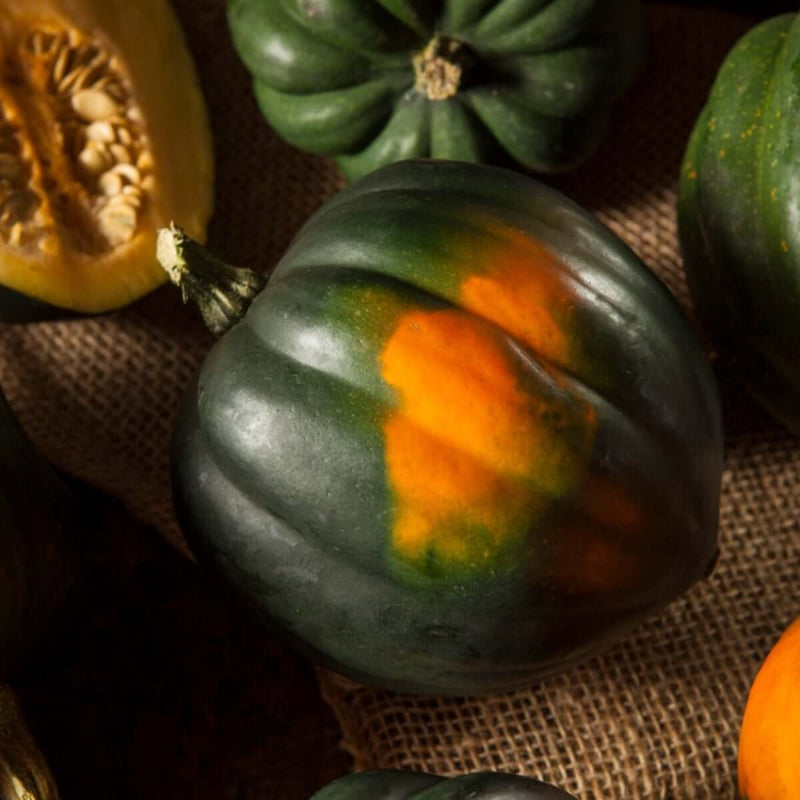 Acorn Squash Seeds