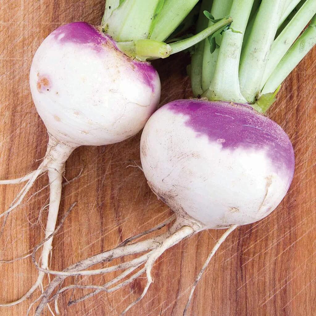 American Purple top rutabaga seeds - Vegetable Plant