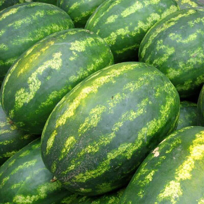 Asian Long Watermelon Seeds