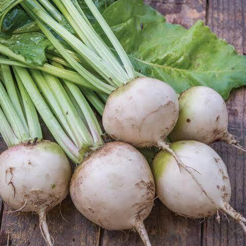 Avalanche Beet Seeds