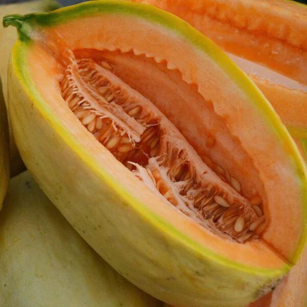 Banana Melon Seeds - Heirloom Fruit Plant for Home Gardens