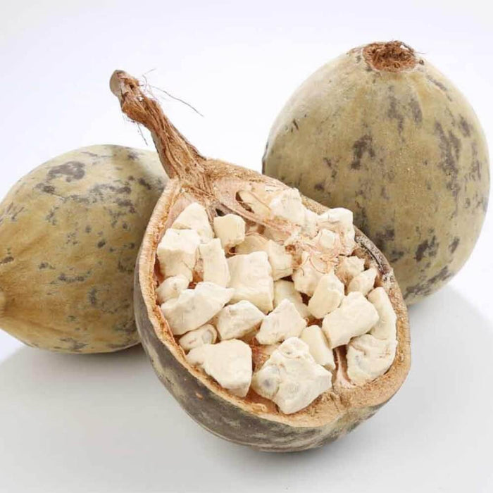 Baobab Seeds - Fruit Plant for Home Gardens