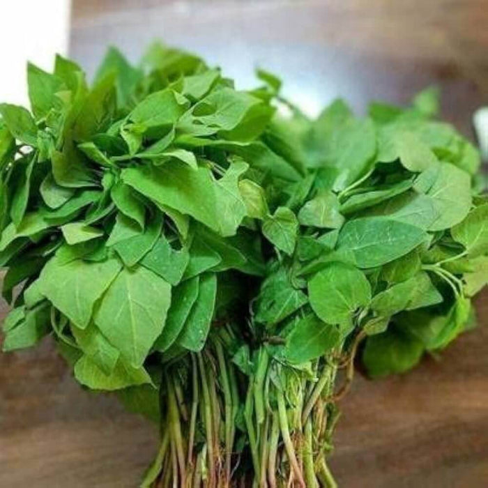 Bathua Seeds - Vegetable Plant for Home Gardens