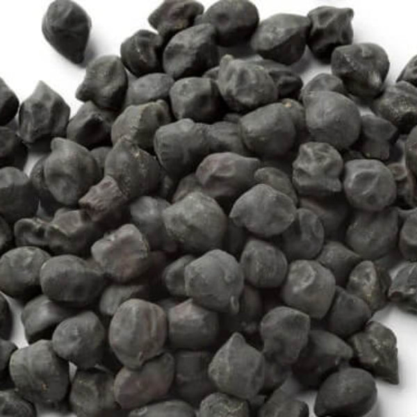 Black Chickpea Seeds