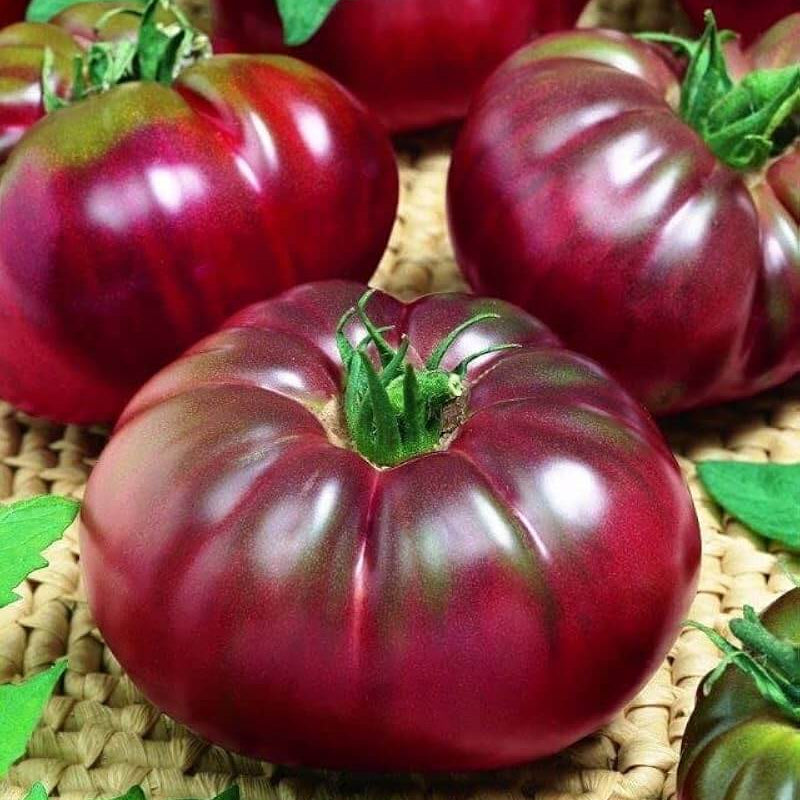 Black Prince Tomato Seeds - Vegetable Plant