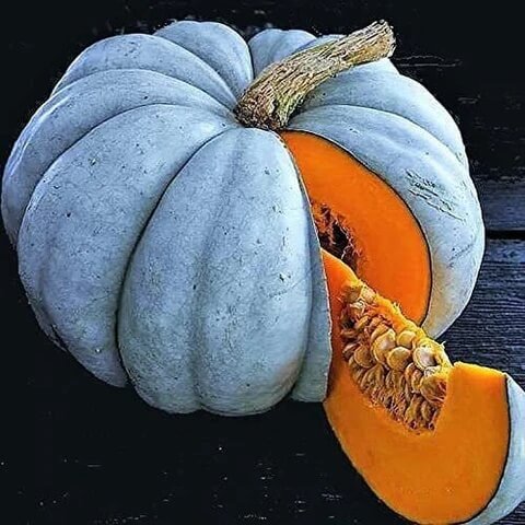 Blue Pumpkin Seeds