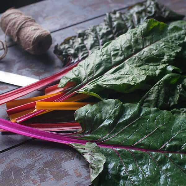 Bright lights swiss chard seeds - Vegetable Plant