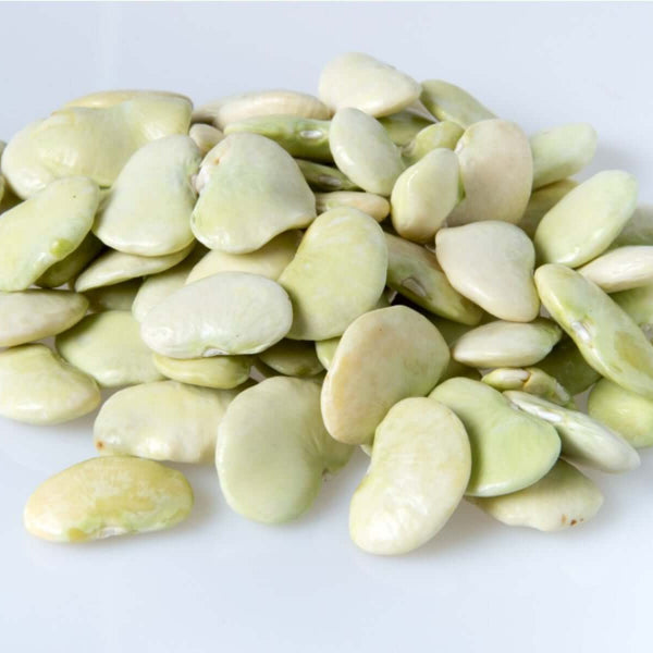 Butter Bean Seeds - Vegetable Plant