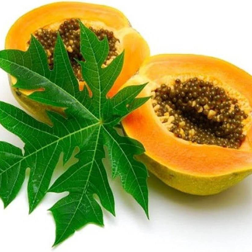 Carica Papaya Seeds