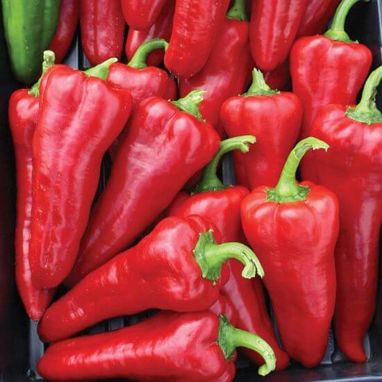 Carmen Pepper Seeds - Vegetable Plant