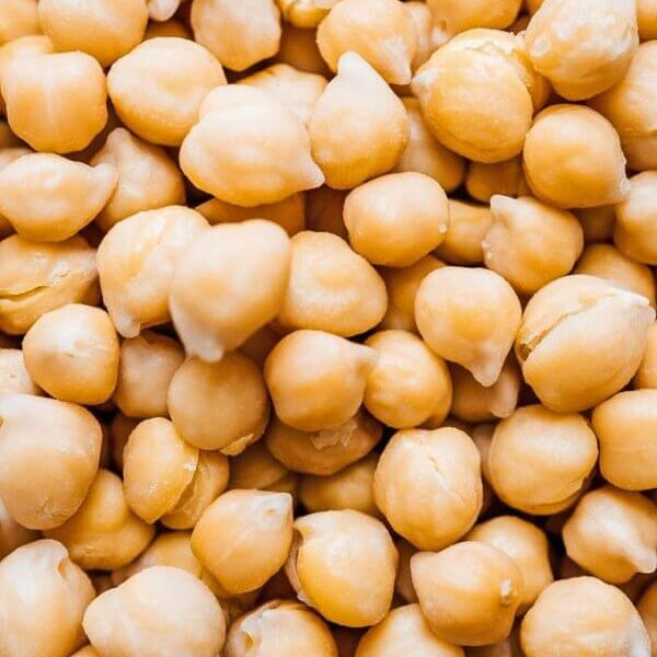 Chickpea Seeds - Vegetable Plant for Home Gardens