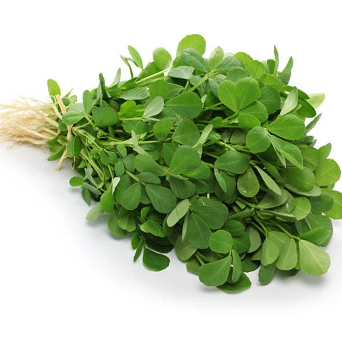 Common Fenugreek Seeds