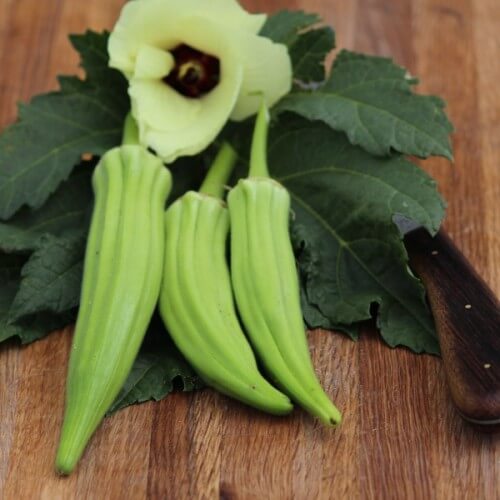 Cow Horn Okra Seeds