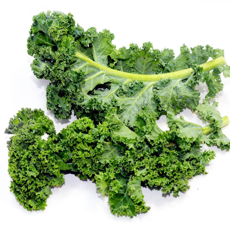 Curly kale seeds - Vegetable Plant