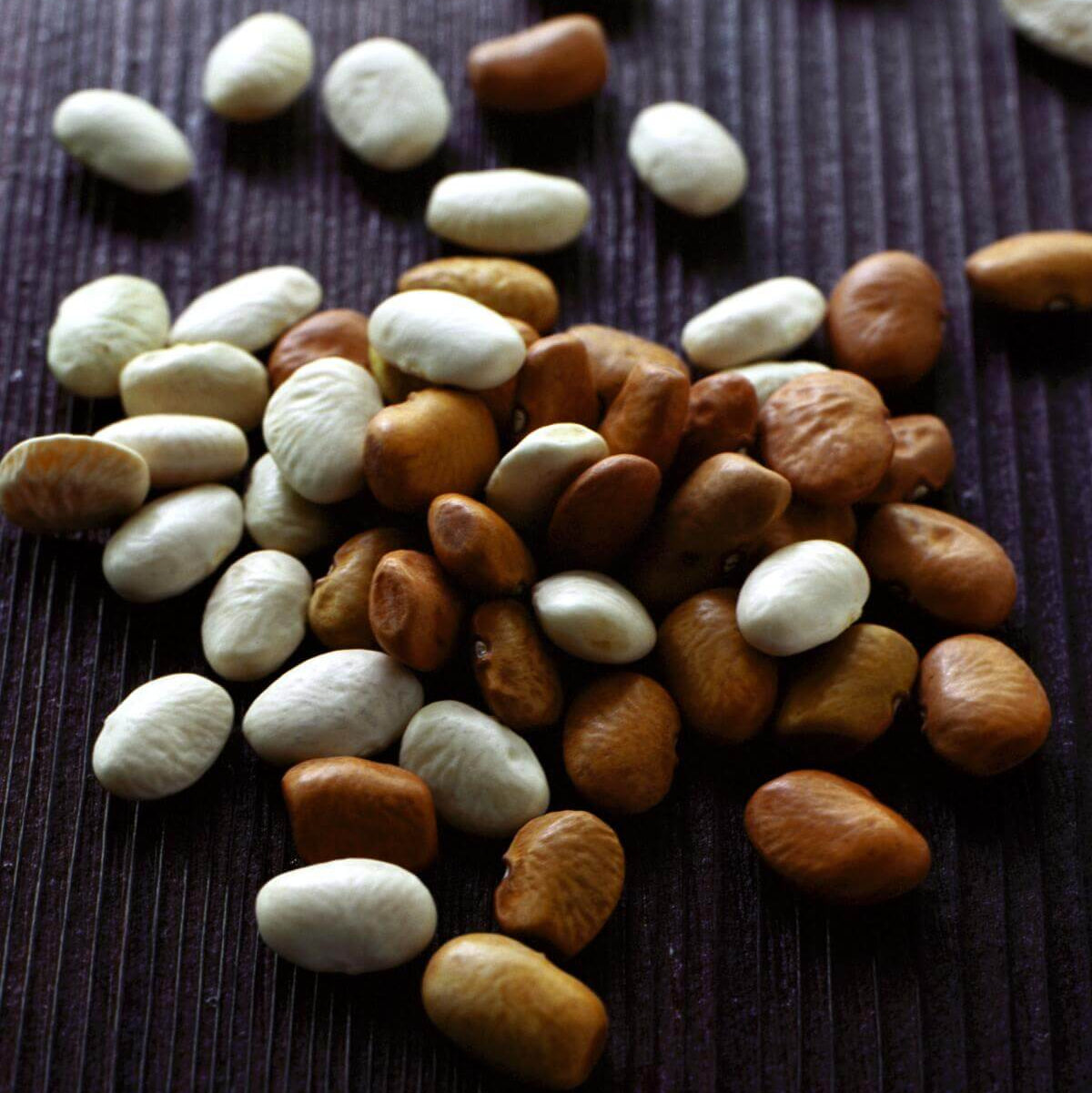 Desert Tepary Beans Seeds