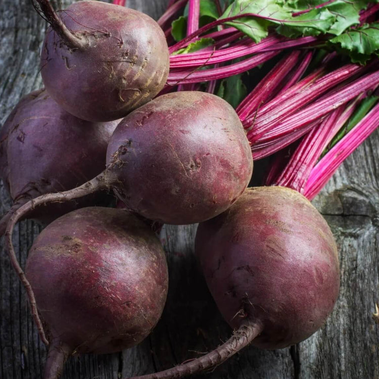 Early wonder beet seeds - Vegetable Plant