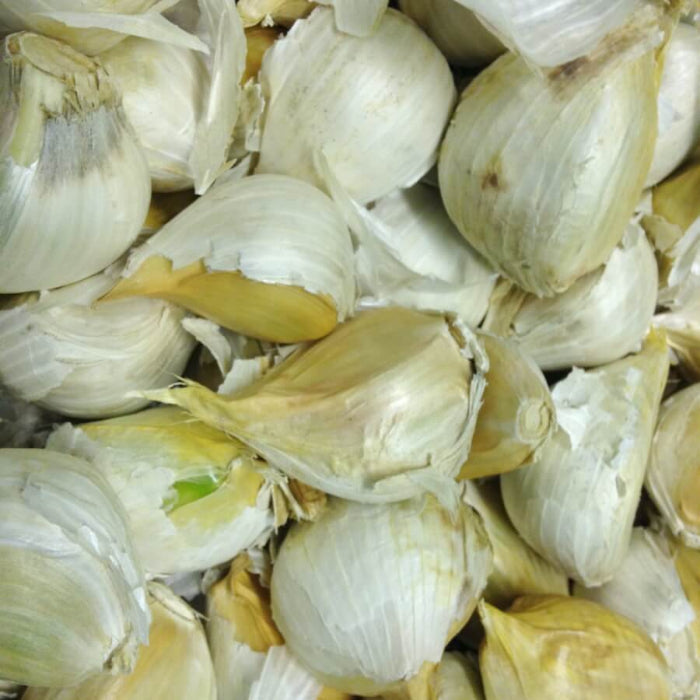 Elephant Garlic Seeds - Vegetable Plant