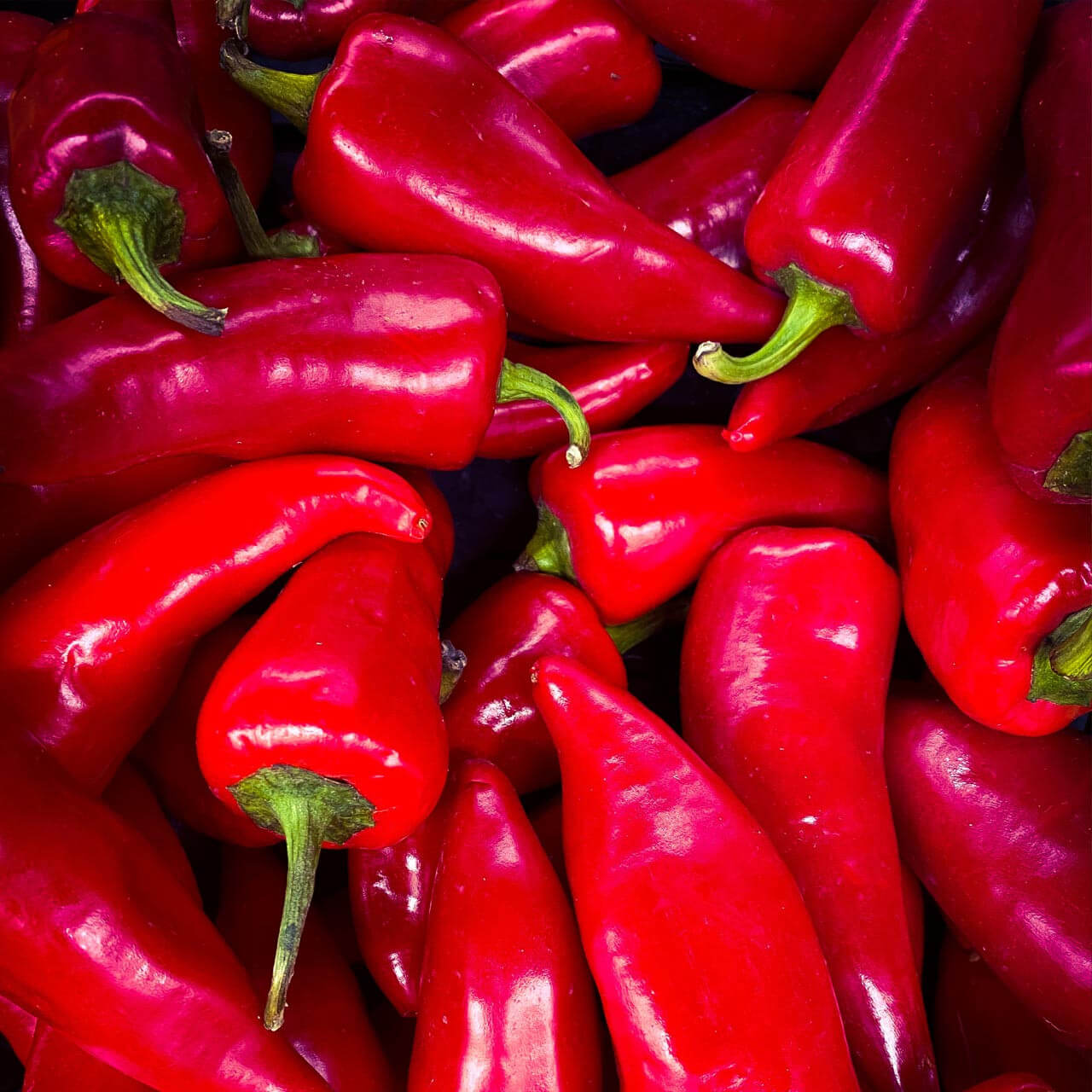 Fresno Pepper Seeds - Vegetable Plant