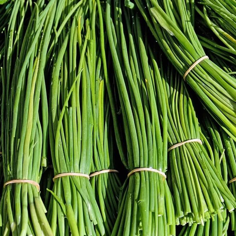 Garlic Chives Seeds - Herbal Plant