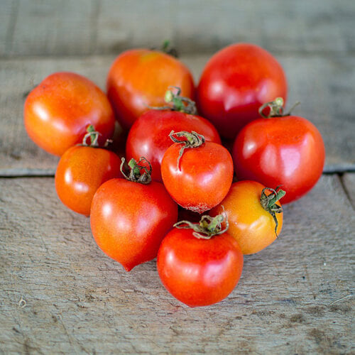 Geranium Kiss Tomato Seeds
