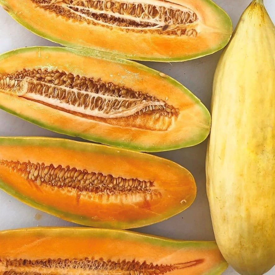 Gold Banana Melon Seeds