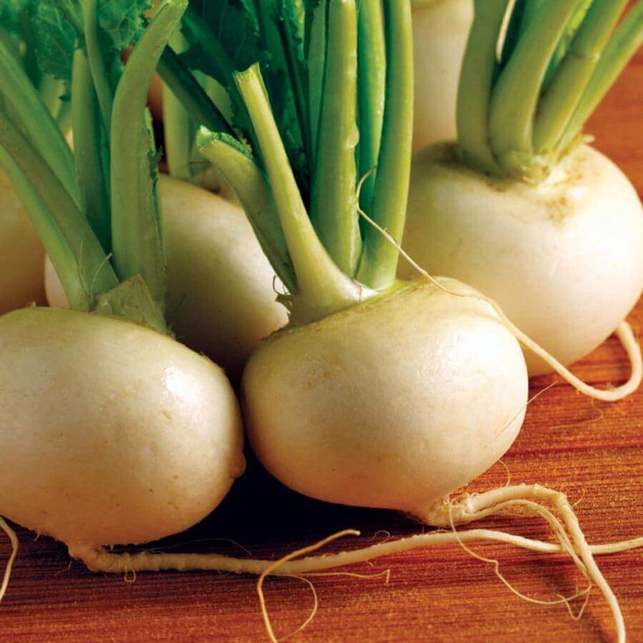 Hakurei turnip seeds - Vegetable Plant