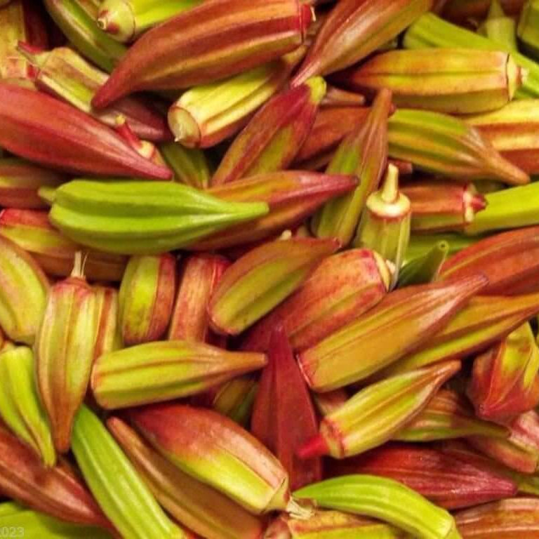 Hill Country Red Okra Seeds - Vegetable Plant