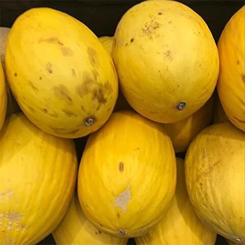 Honey Melon Seeds