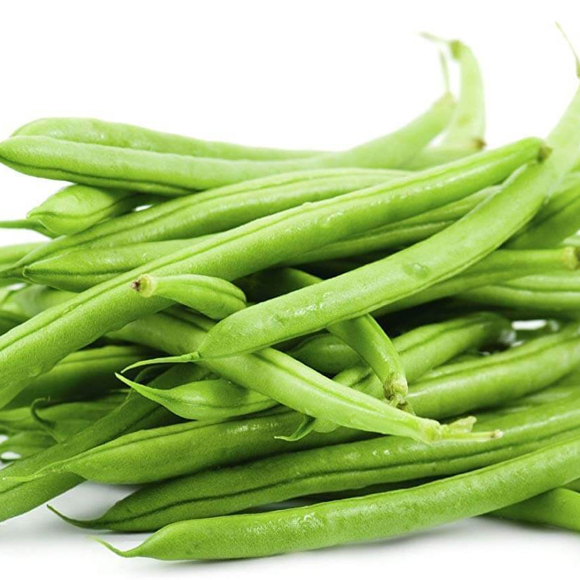 Kidney Bean Seeds - Vegetable Plant for Home Gardens