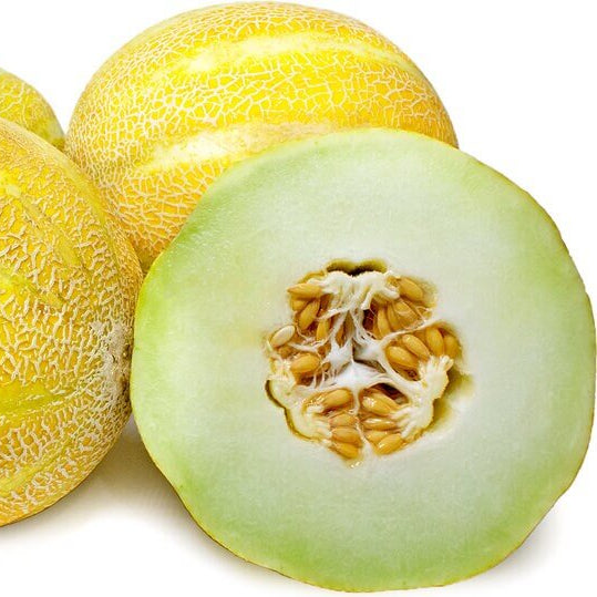 Lemon Drop Melon Seeds