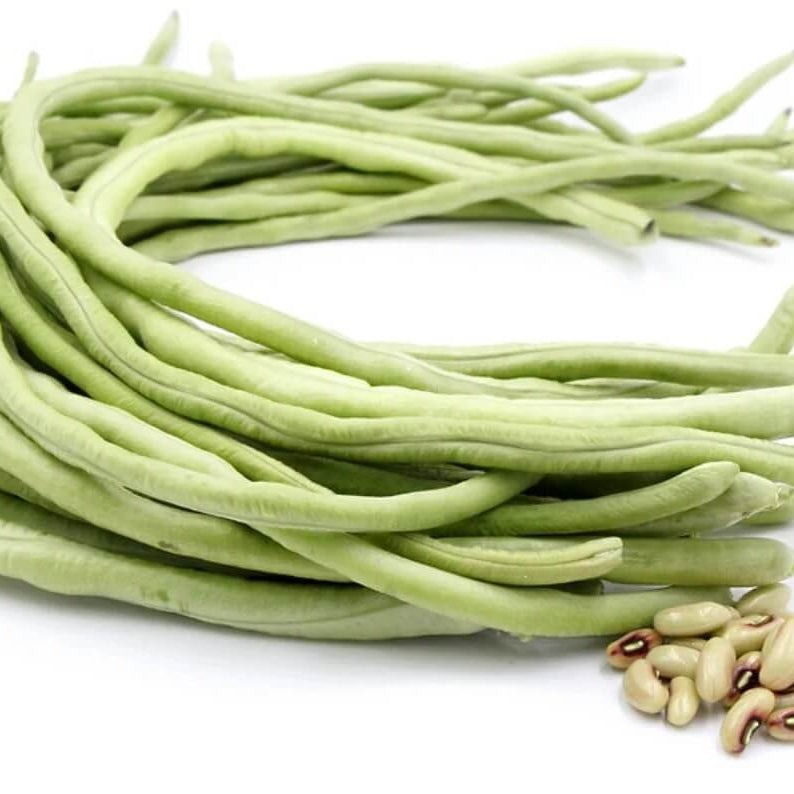 Long Bean Seeds