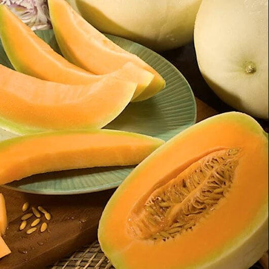 Loupe Melon Seeds