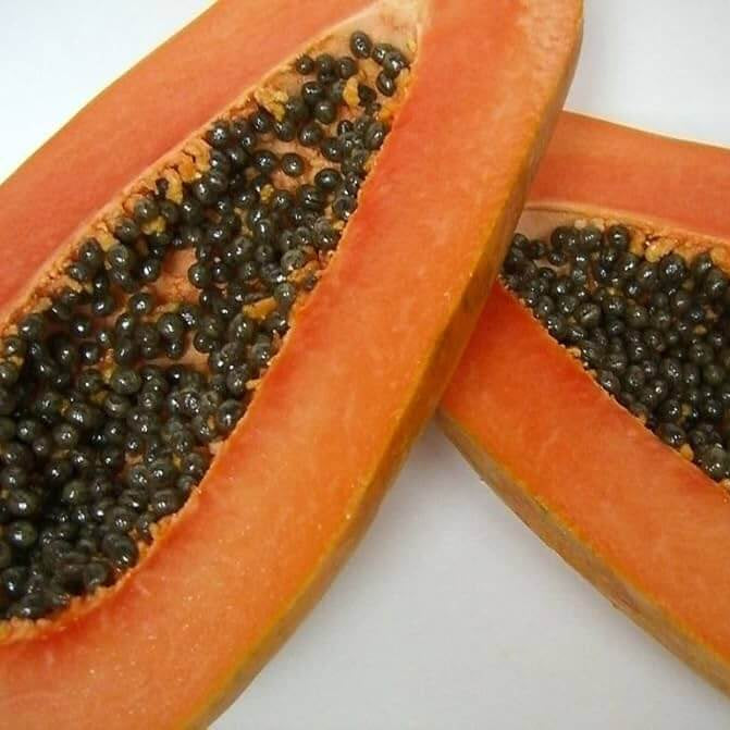 Maradol Mexican Papaya Seeds