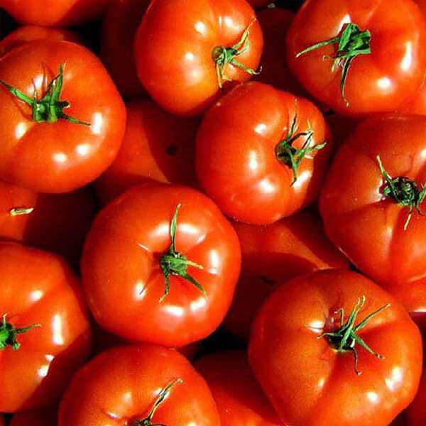 Marglobe Tomato Seeds - Vegetable Plant