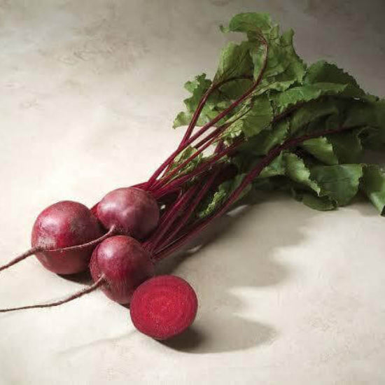 Merlin Beet Seeds