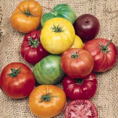 Mixed Color Beefsteak Tomato Seeds