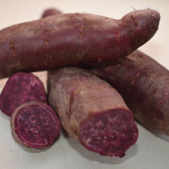 Molokai Purple Sweet Potato Seeds