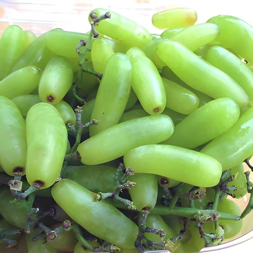 Moon Drop Green Grapes Seeds