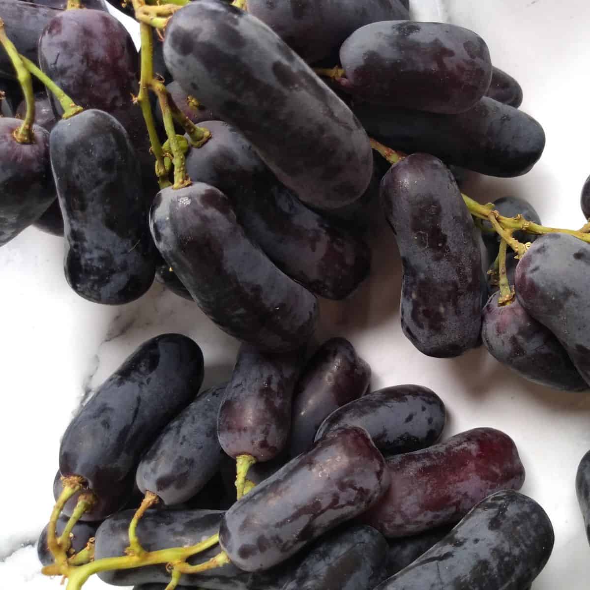 Moon Drops Black Grape Seeds