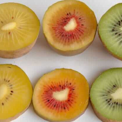 Multi Colour Kiwi Seeds