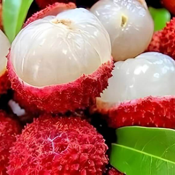 No Mai Tsze Lychee Seeds