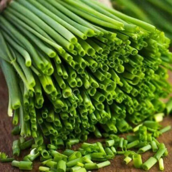 Onion Chives Seeds - Herbal Plant