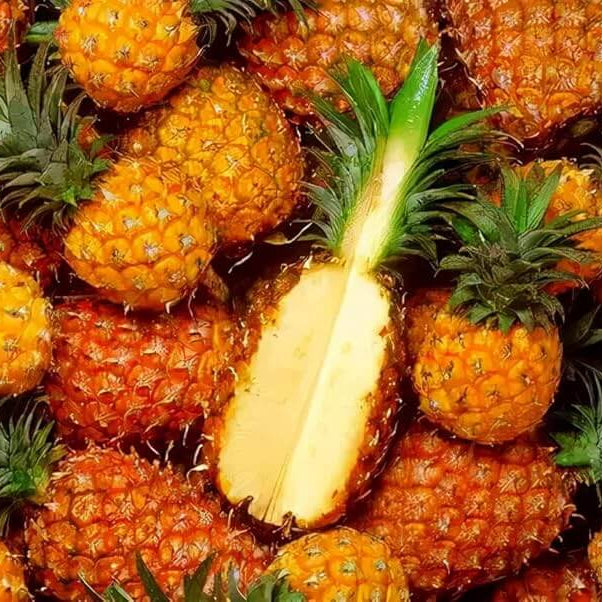 Orange Pineapple Seeds