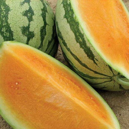 Orange Watermelon Seeds