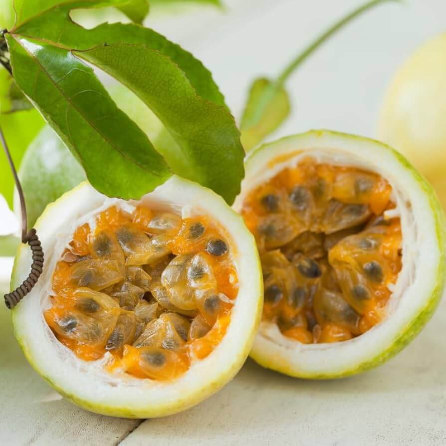 Passiflora Edulis Seeds - Fruit Plant
