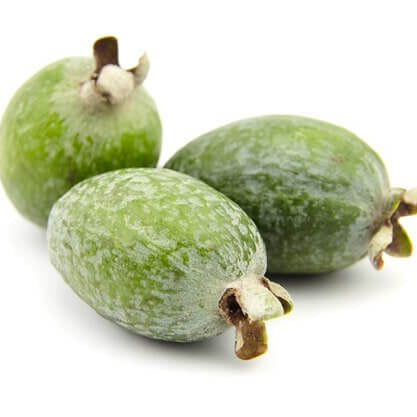 Pineapple Guava Seeds - Fruit Plant