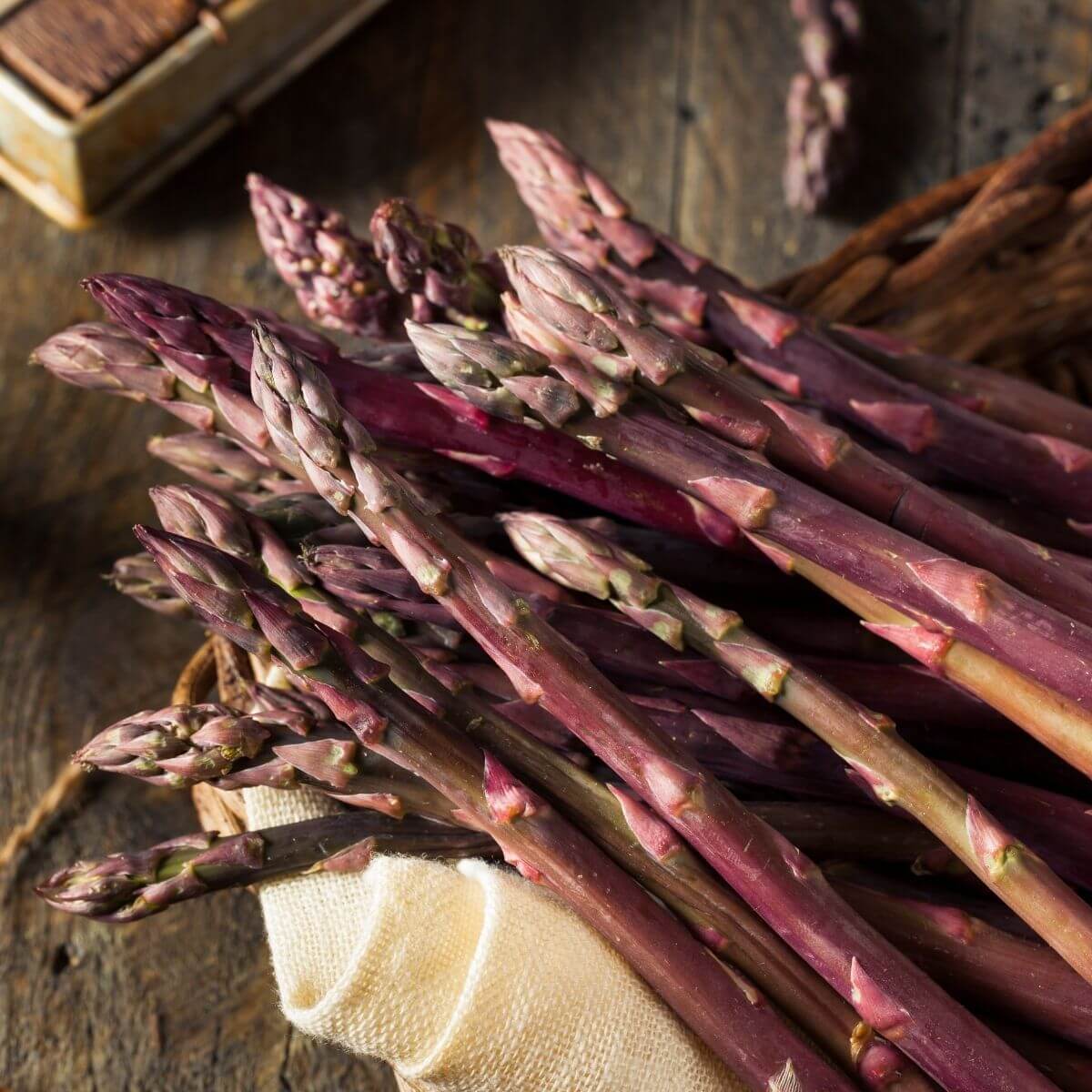 Purple Asparagus Seeds