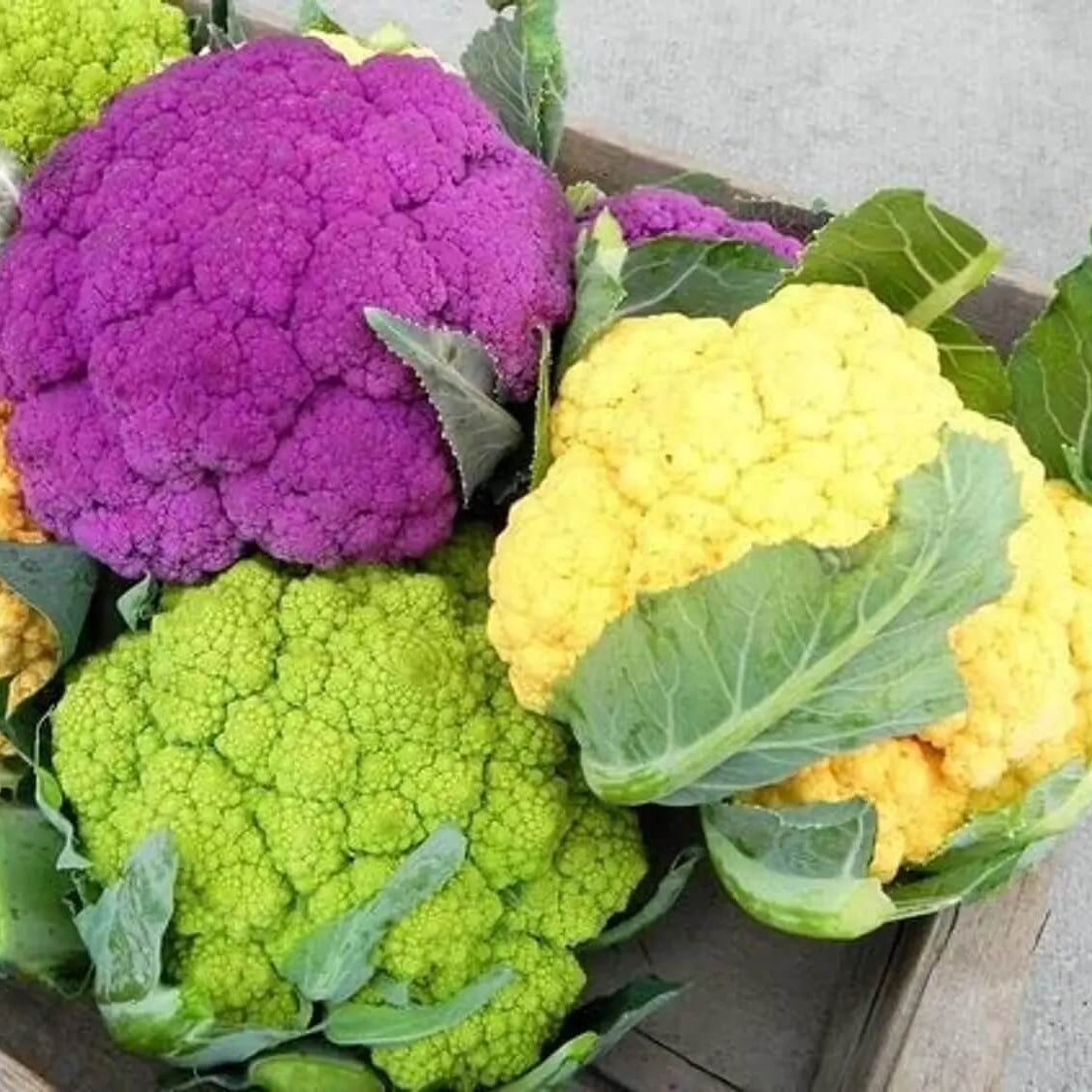 Purple, Green & Yellow Mix Cauliflower Seeds