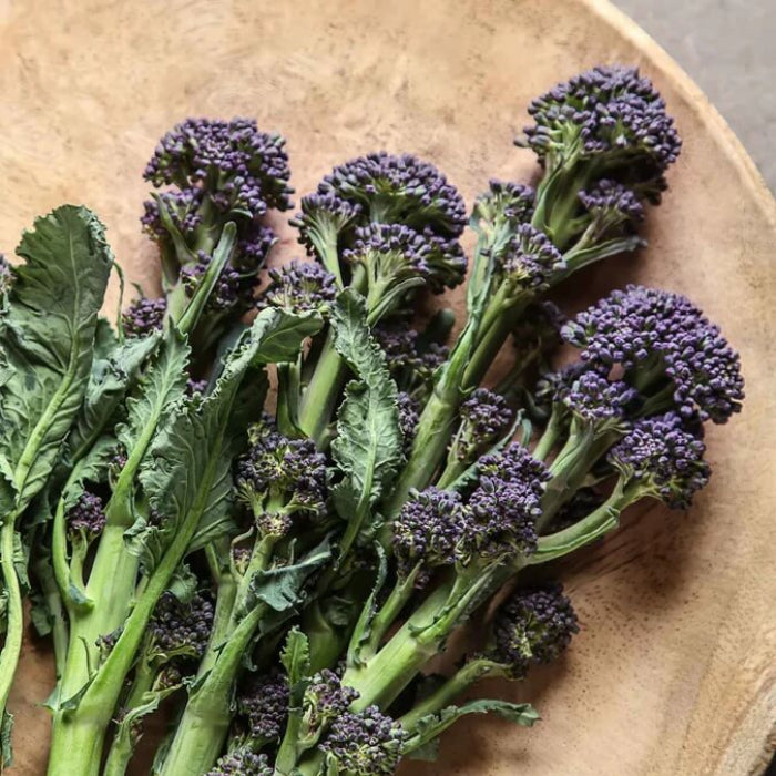 Purple Sprouting Broccoli Seeds - Vegetable Plant