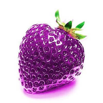 Purple Strawberry Seeds